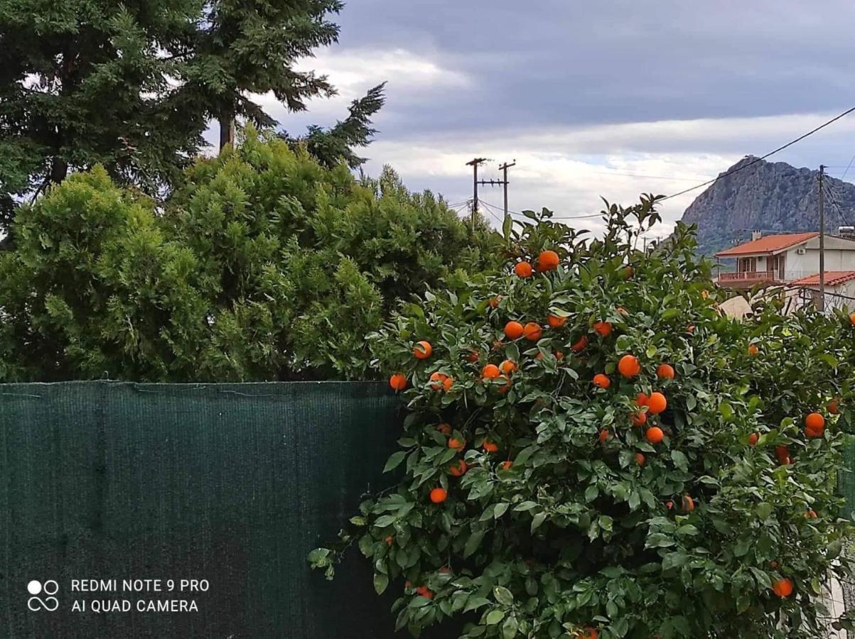 Nafplio Breeze Άνετη Διώροφη Κατοικία Από 4 Έως 9 Επισκέπτες Exterior foto
